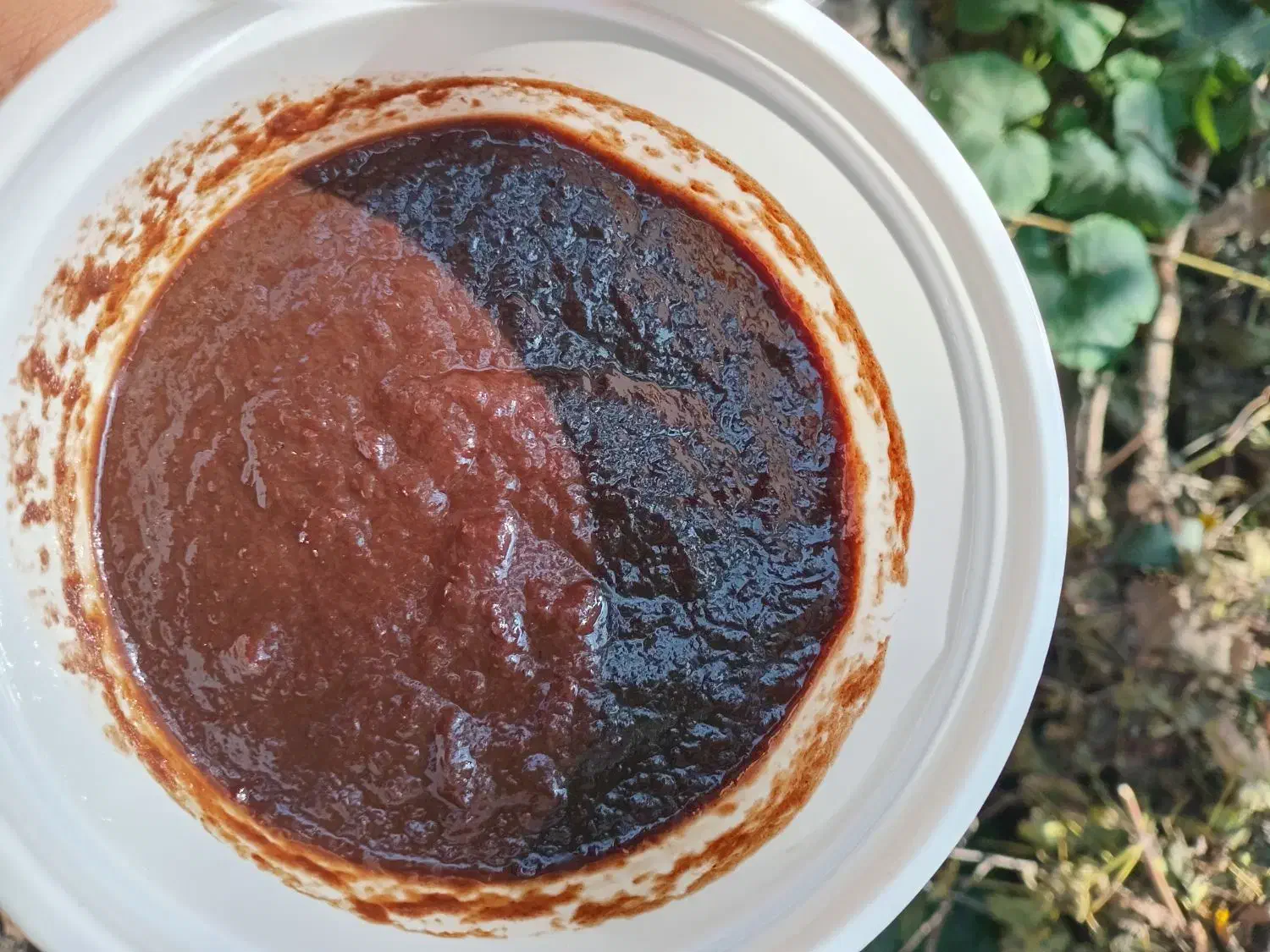 رب انار.آب انار ۱۰۰٪طبیعی.زیتون رودبار .روغن زیتون|خوردنی و آشامیدنی|رودبار, |دیوار