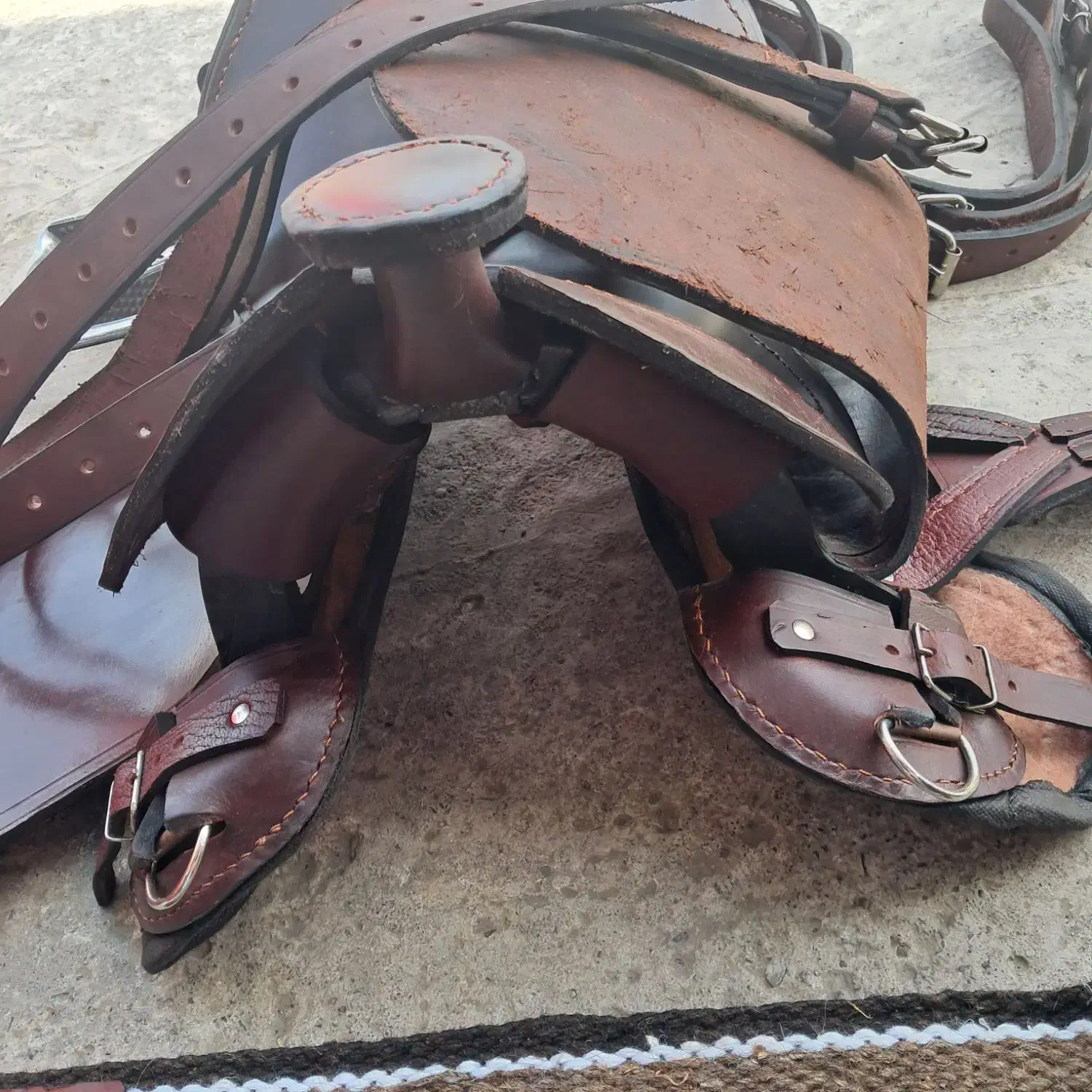 لوازم سوارکاری صادقی زین گاومیش استاندارد|اسب و تجهیزات اسب‌سواری|تولم شهر, |دیوار