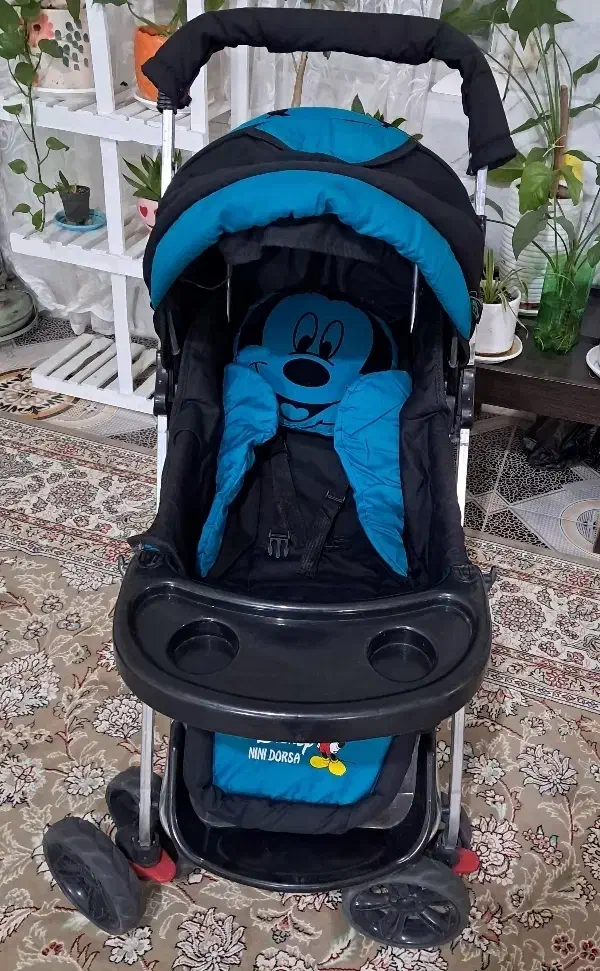 فروش کلاسکه و کریر و روروک|کالسکه و لوازم جانبی|تربتحیدریه, مظفریه|دیوار