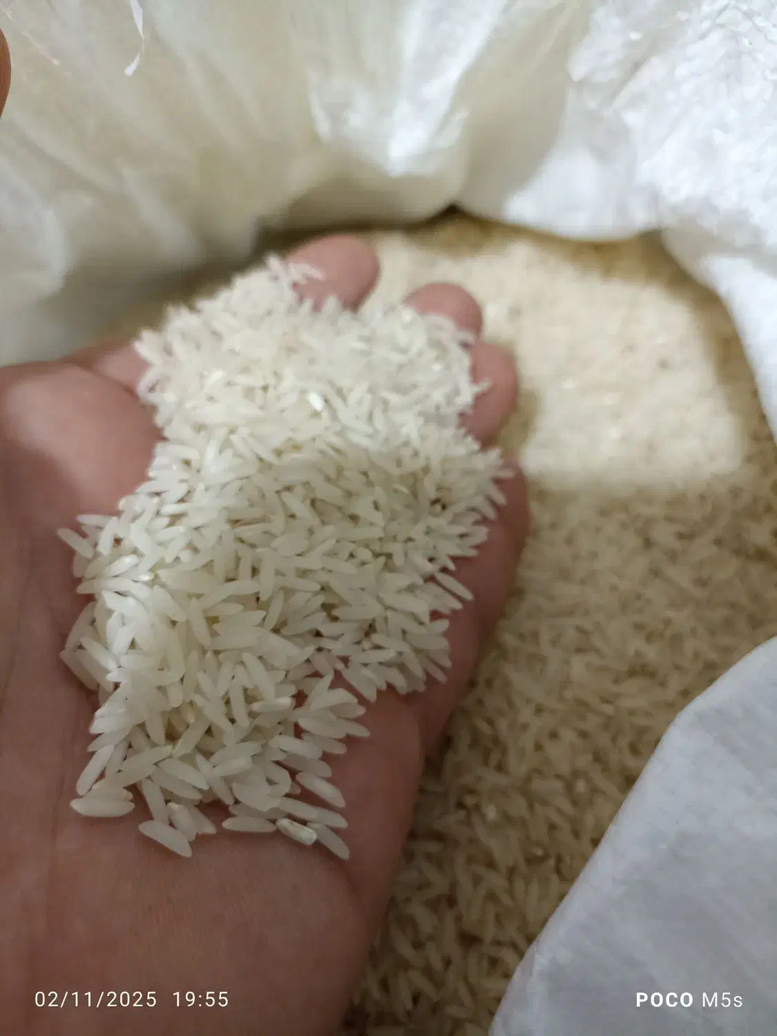 برنج طارم هاشمی|خوردنی و آشامیدنی|کردکوی, |دیوار