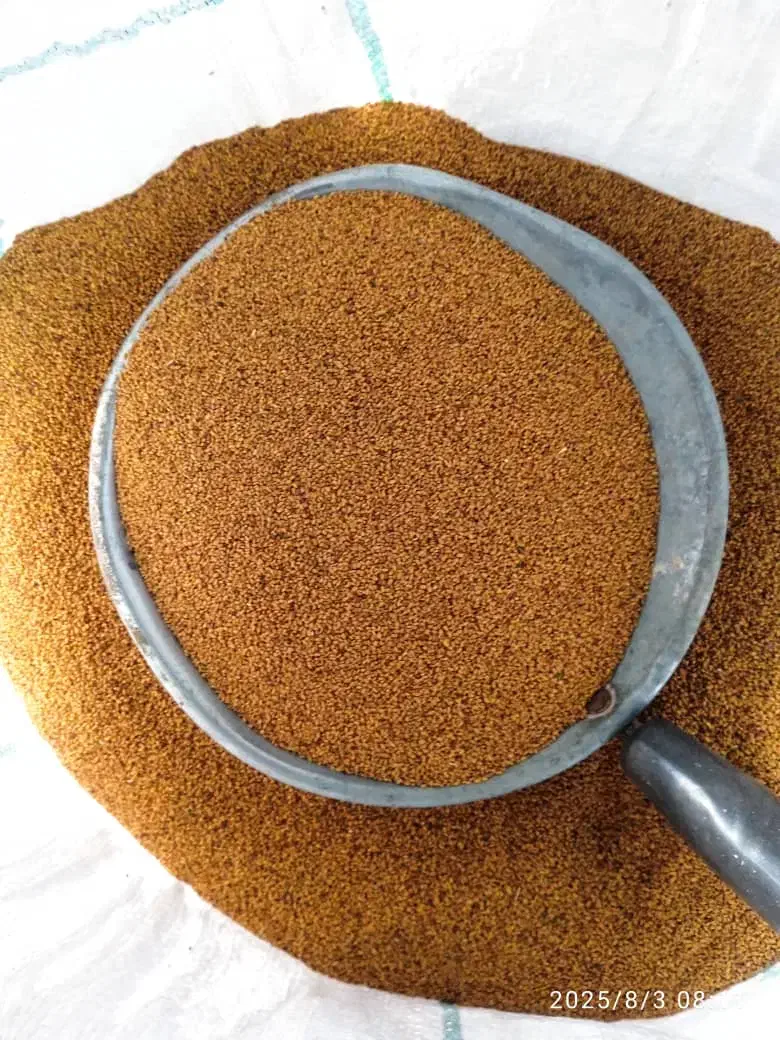 بذر یونجه ساقه بلند درجه یک|گل و گیاه طبیعی|پارس‌آباد, |دیوار