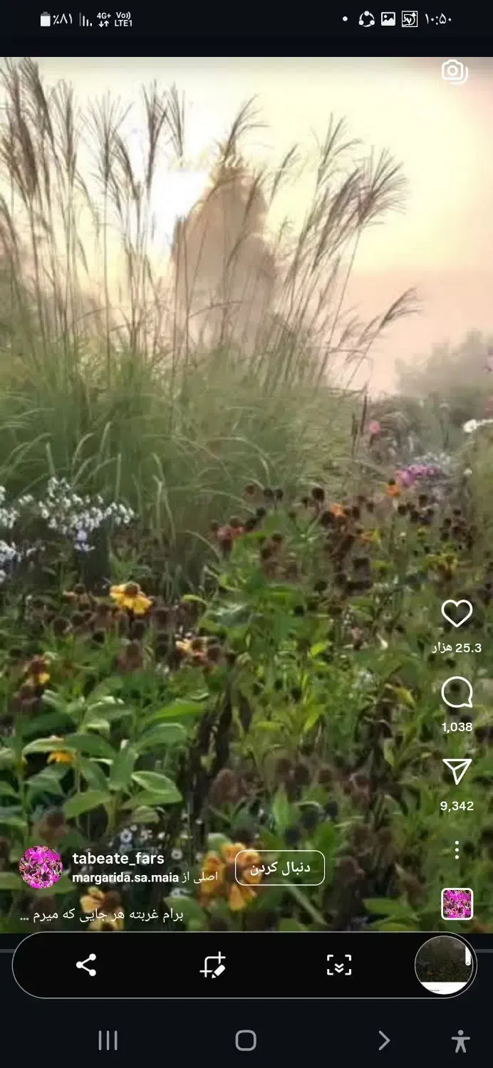 باغ ویلایی|فروش خانه و ویلا|مشگین شهر, |دیوار