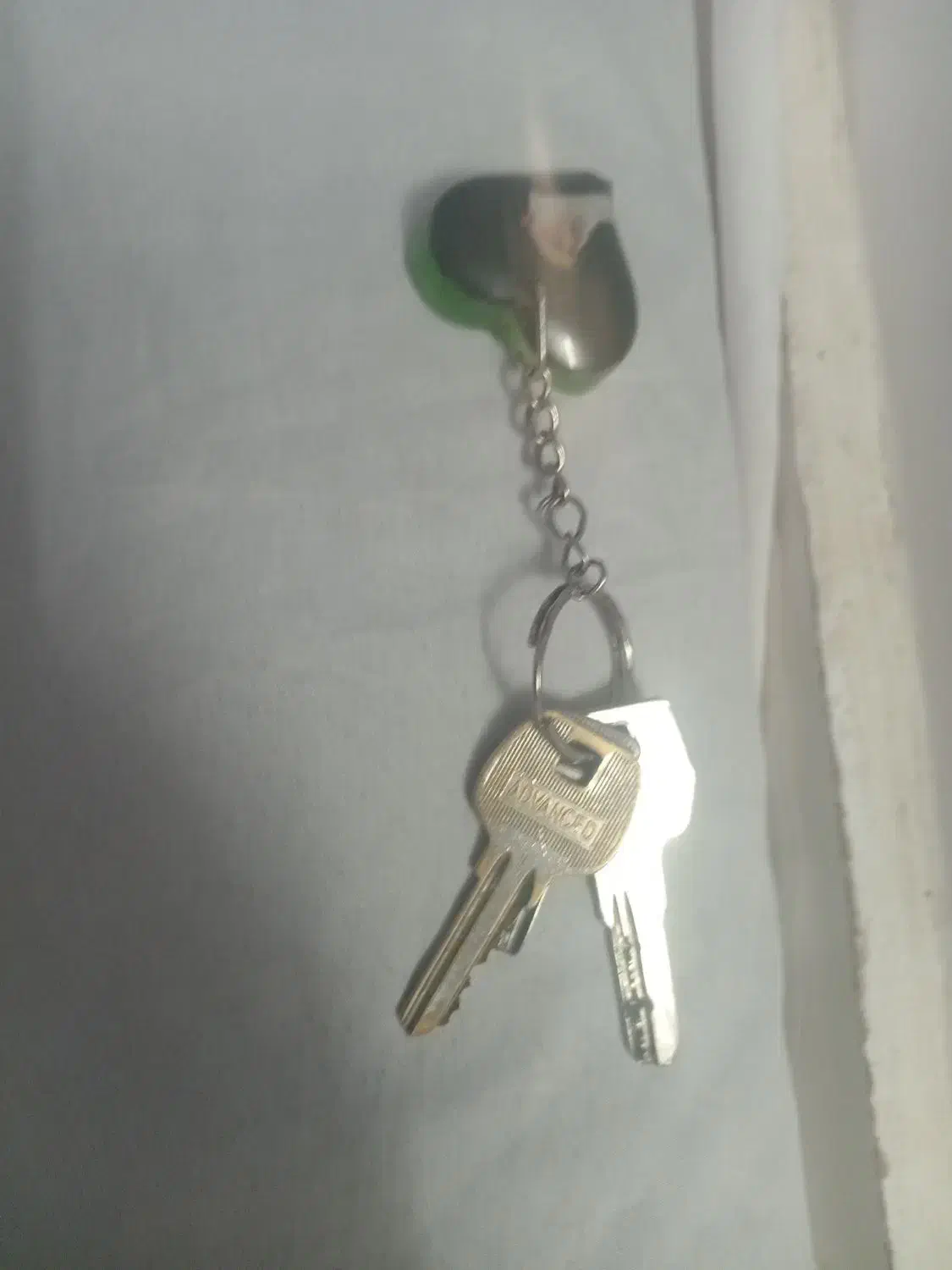 دسته کلید پیدا شده|اشیا|تربتحیدریه, رضاشهر|دیوار