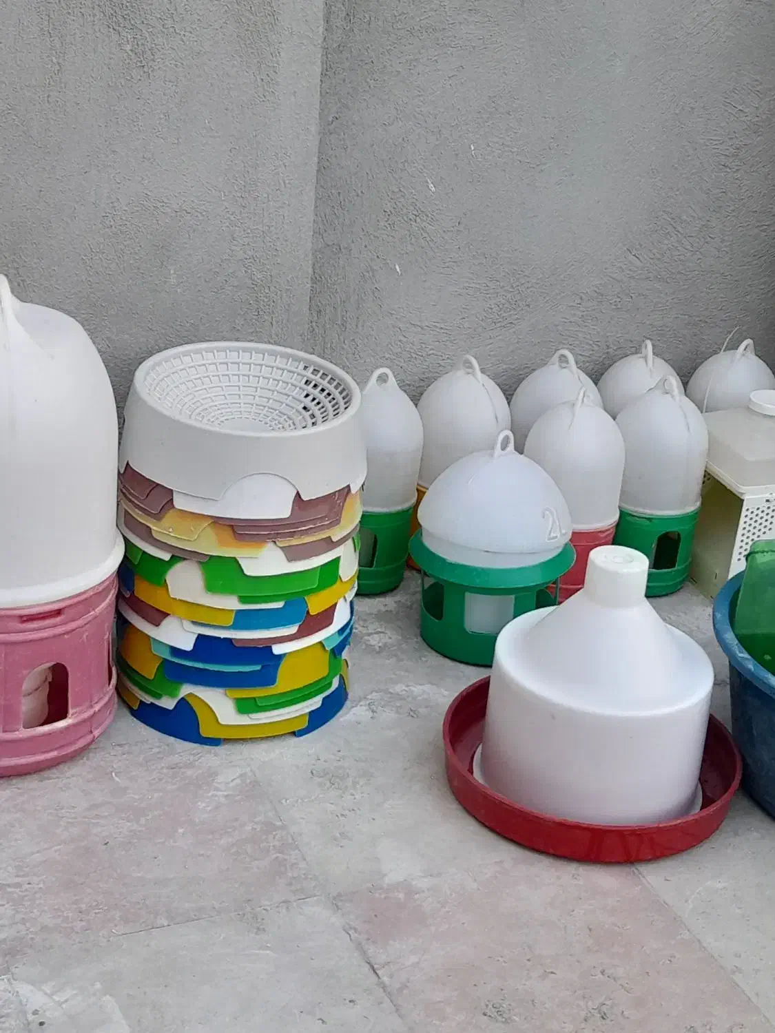 فروش لوازم پرنده|لوازم جانبی حیوانات|نقده, |دیوار