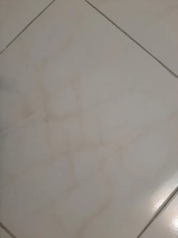 مغازه|اجارهٔ مغازه و غرفه|شیراز, شیخ علی چوپان|دیوار