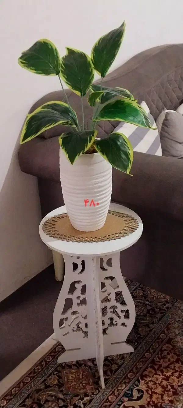 شلف گلدان|کتابخانه، شلف، قفسه‌های دیواری|رشت, جهاد|دیوار