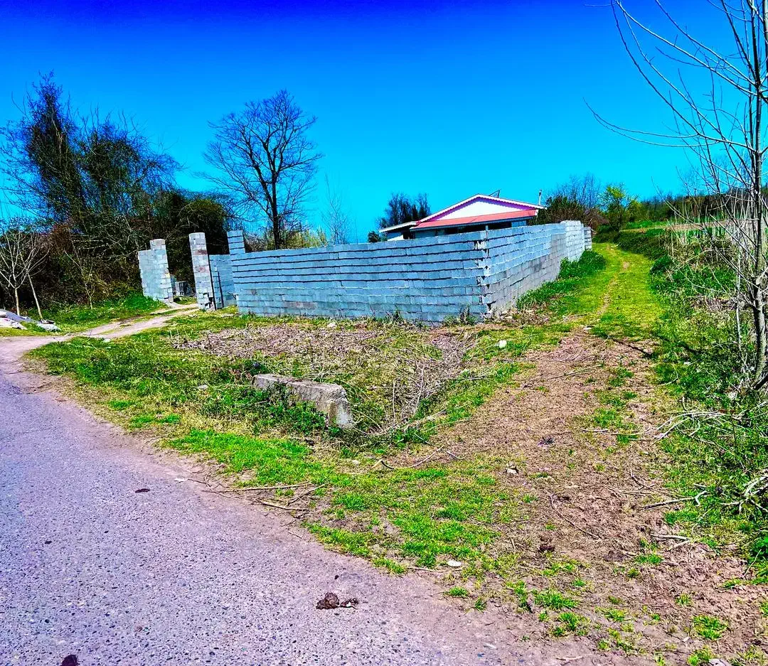 زمین مسکونی 300متر با پروانه ساخت /جاده زیباکنار|فروش زمین و ملک کلنگی|رشت, دیلمان|دیوار