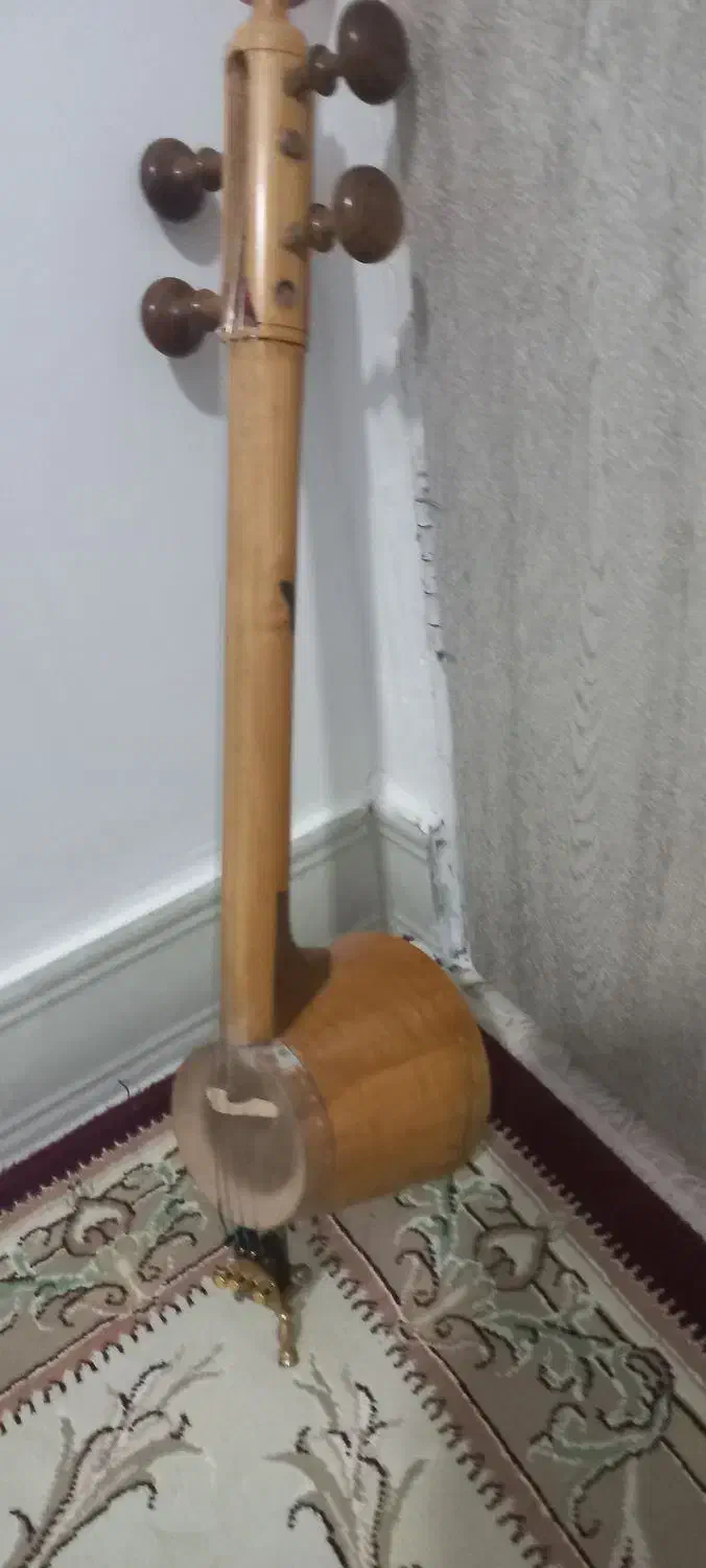 ساز|سازهای سنتی|نورآباد, |دیوار