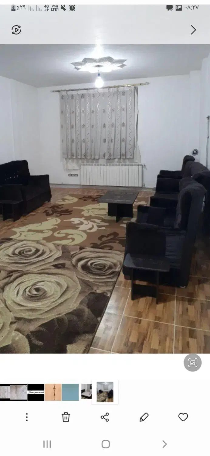 فرش ۶ متری دوتا باهم|فرش|اردبیل, |دیوار
