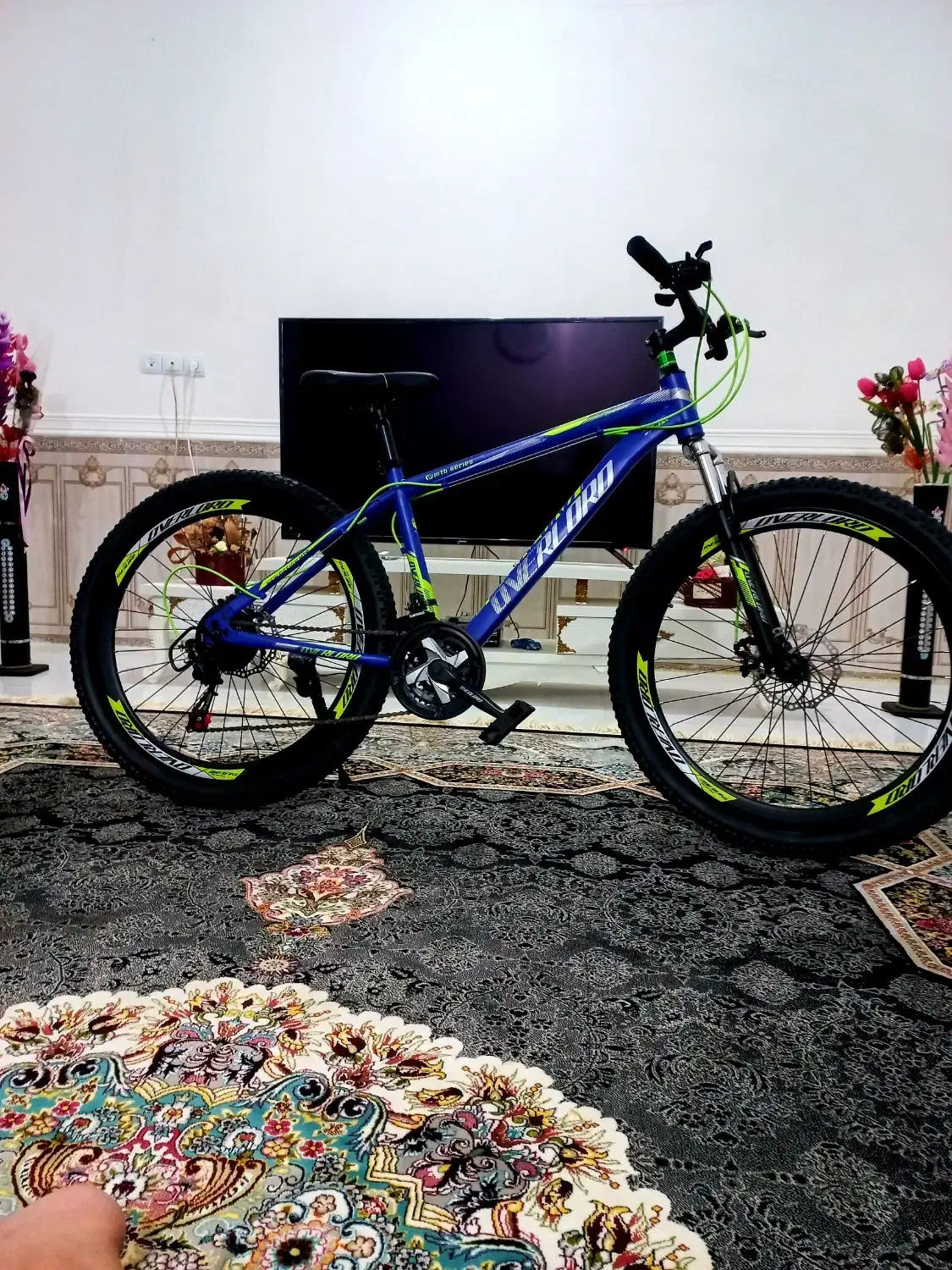 دوچرخه ۲۶ دنده ای|دوچرخه، اسکیت، اسکوتر|چاه مبارک, |دیوار