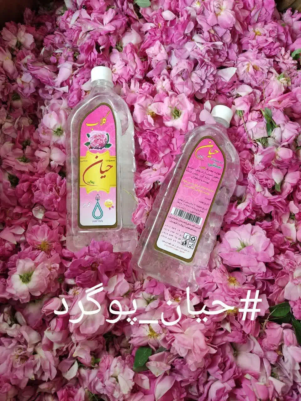 گلاب وعرقیات|خوردنی و آشامیدنی|تهران, آهنگ|دیوار