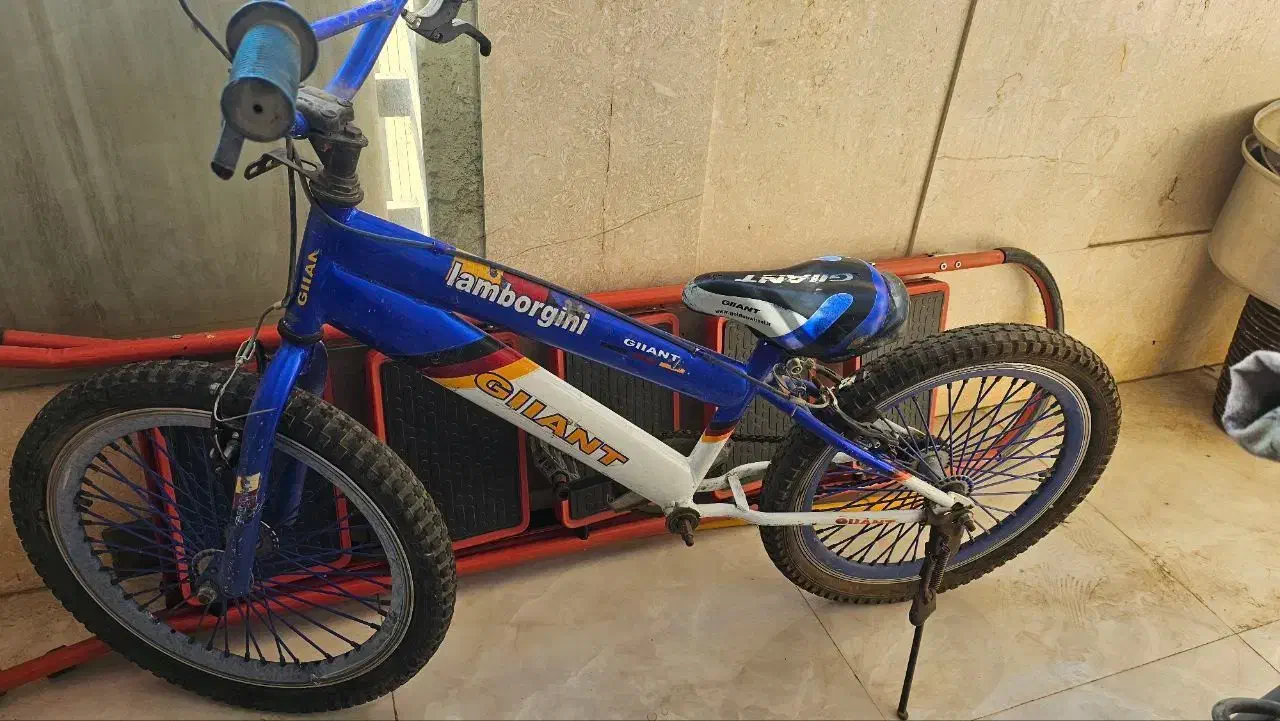 دوپرخه کار کرده|دوچرخه، اسکیت، اسکوتر|ری, دیلمان|دیوار