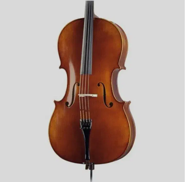 ویولنسل هافنر.ویلنسل هافنر.|ویولن|تهران, فردوس|دیوار