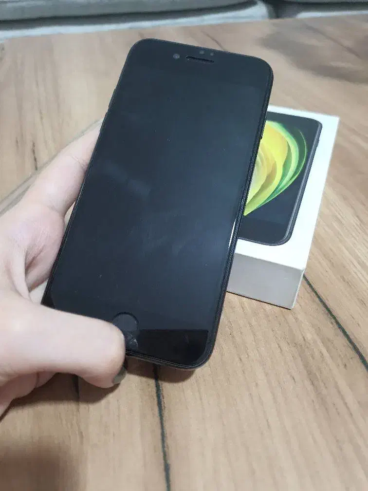 Se 2020|موبایل|پرند, فاز ۴|دیوار