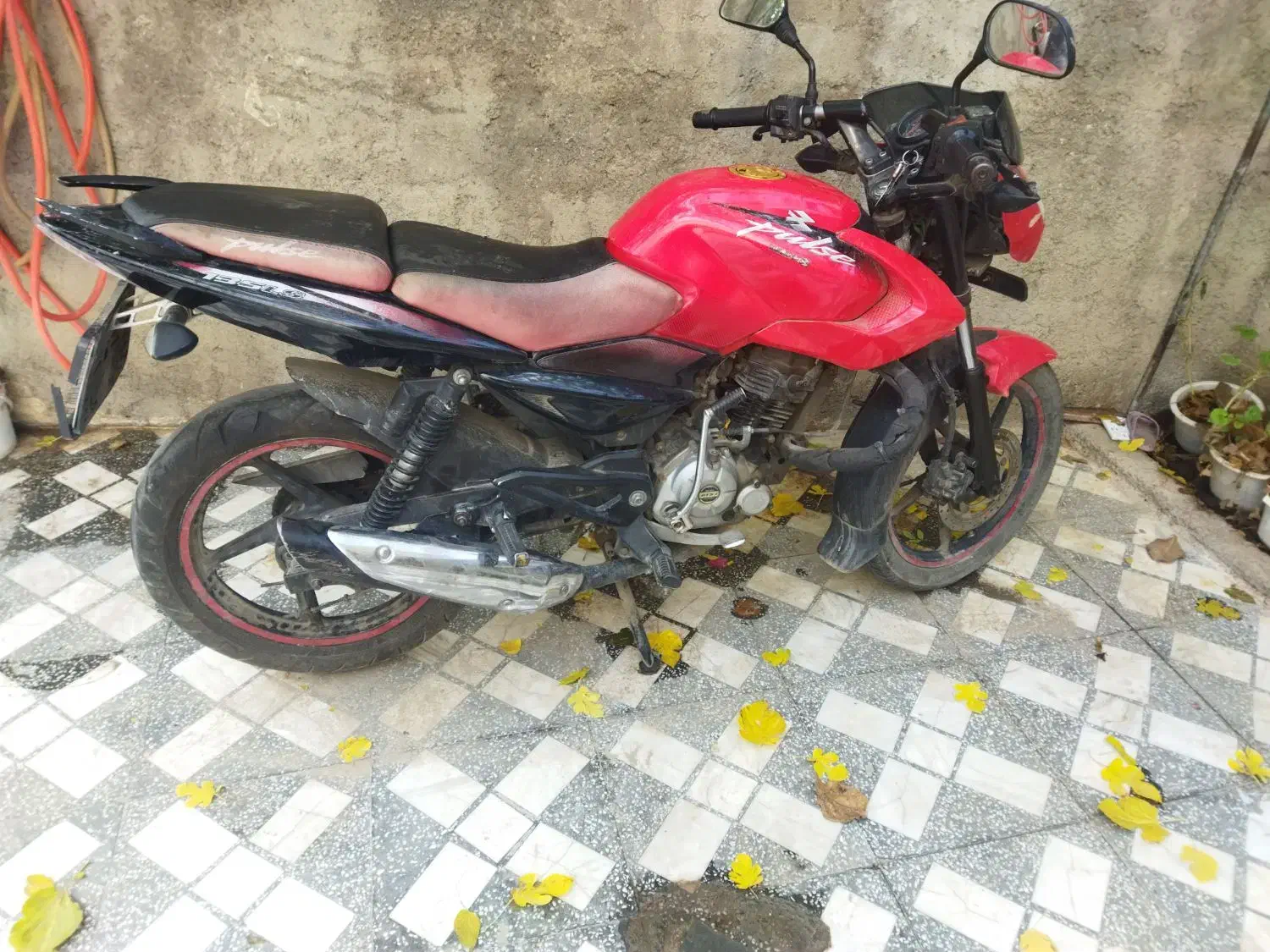 موتور پالس اصلی مدارک کامل|موتورسیکلت|گالیکش, |دیوار