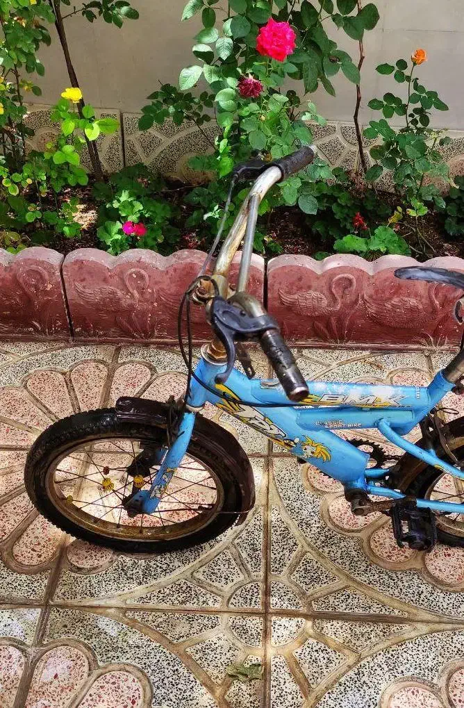 دوچرخه ۱۶و۲۰فروشی|دوچرخه، اسکیت، اسکوتر|رباط‌کریم, نصیرشهر|دیوار