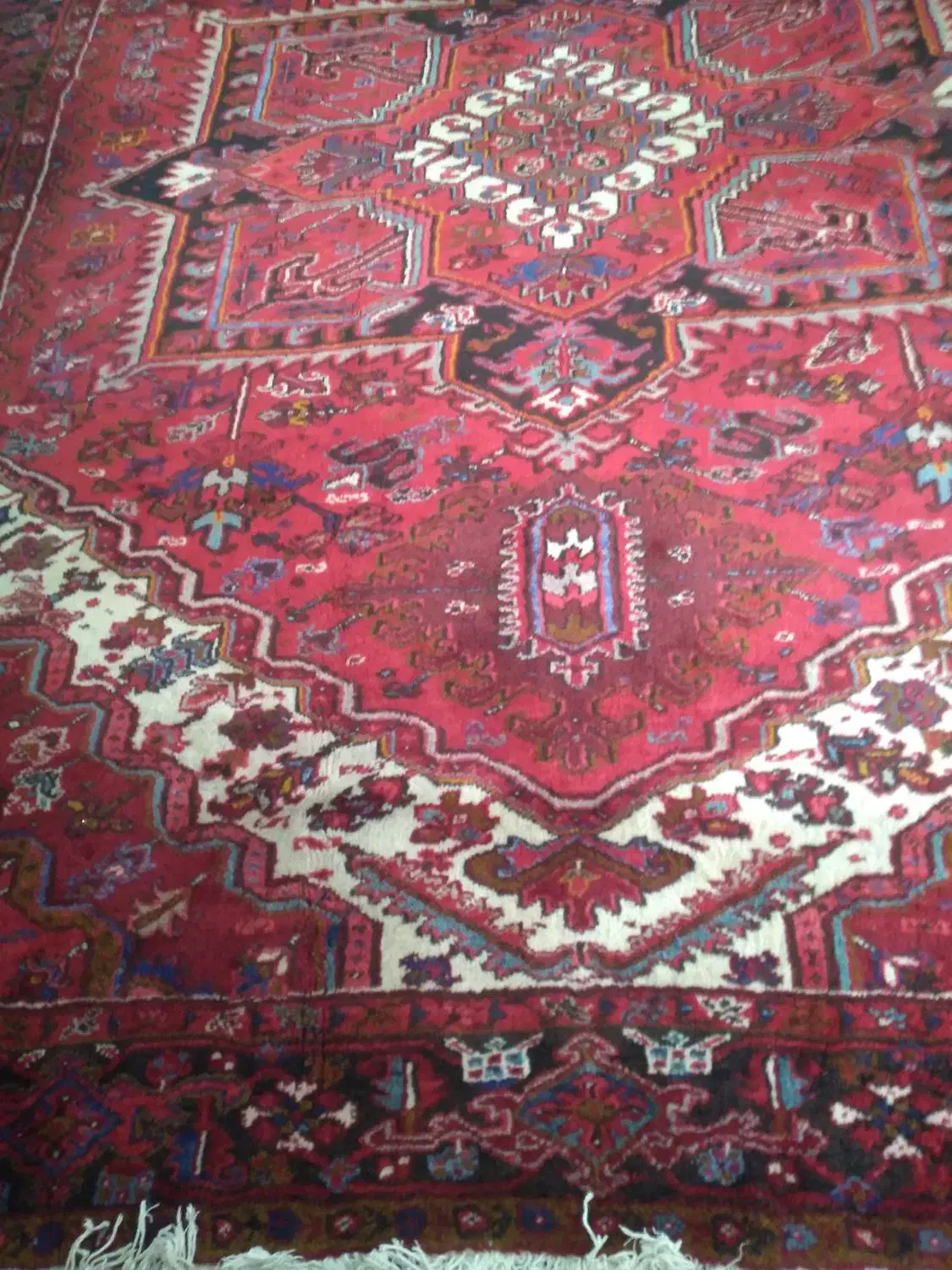 فرش دستباف ۱۲ متری|فرش|تبریز, |دیوار