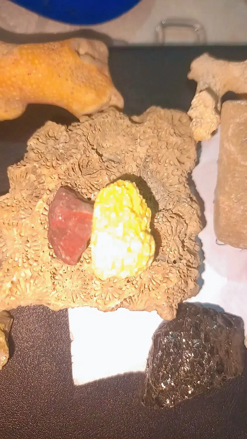 سنگ اول ا رنگ های مختلف میشه مخصوصا بنفش|جواهرات|تهران, دروازه شمیران|دیوار