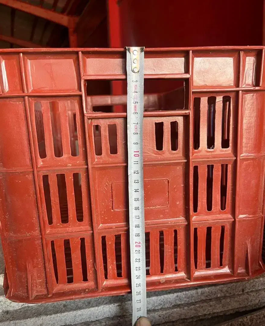 فروش سبد ۲۵ کیلویی|ظروف نگهدارنده، پلاستیکی، یکبارمصرف|بم, |دیوار