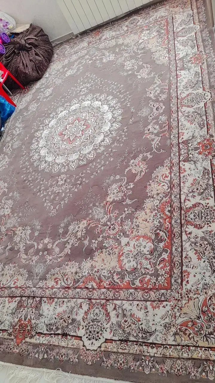 فرش و گلیم|فرش|سقز, |دیوار