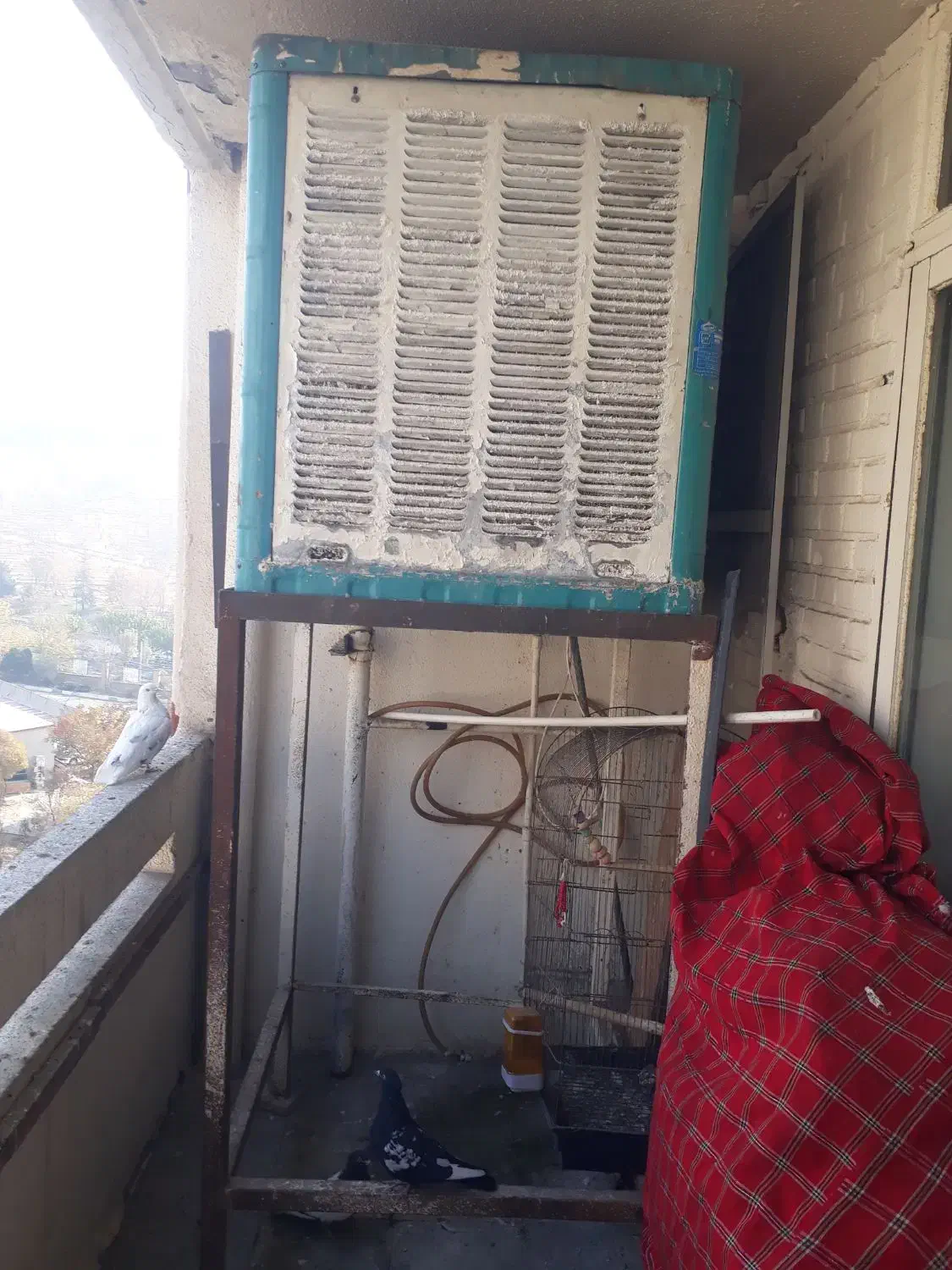 فروش|کولر آبی|تهران, لویزان|دیوار