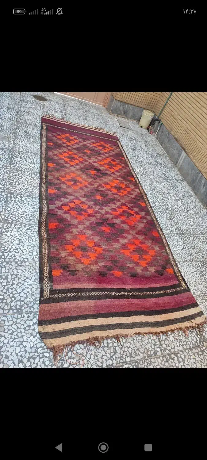 گلیم دست باف|گلیم، جاجیم، گبه|زاهدان, |دیوار