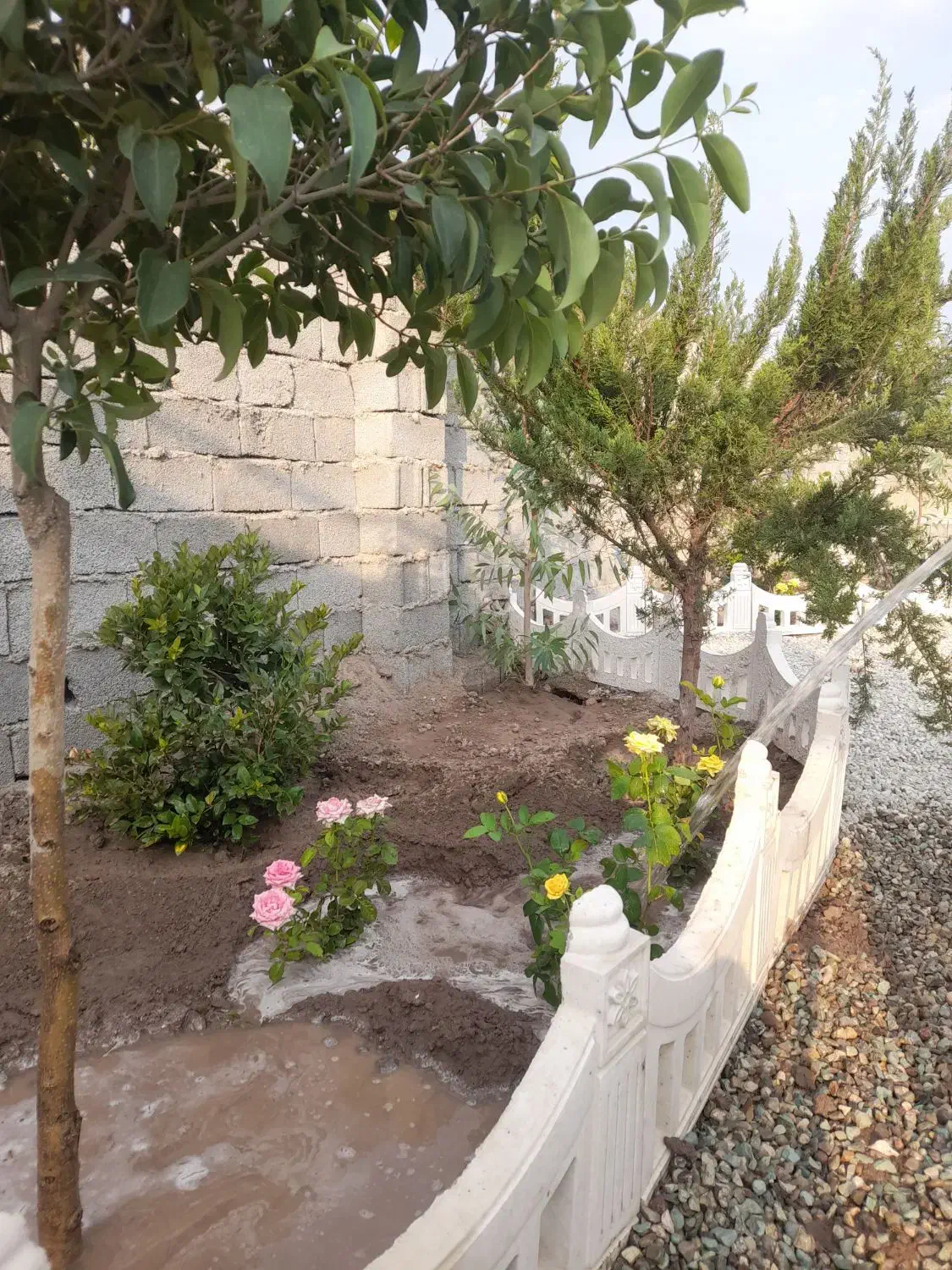 باغ و باغچه ۱۸۳ متری . دارای آب و برق و نگهبانی|فروش زمین و ملک کلنگی|تهران, امیریه|دیوار