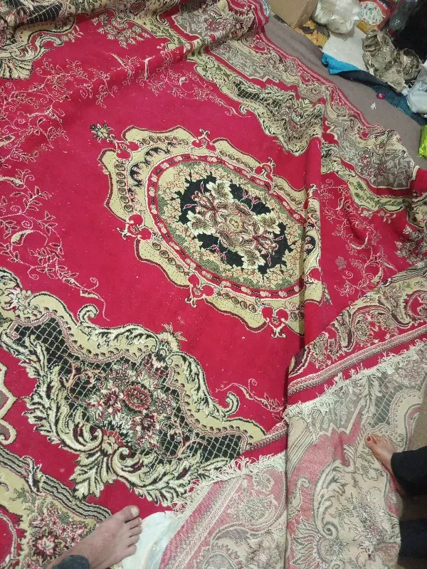 قالی تمیز|گلیم، جاجیم، گبه|کرمان, |دیوار