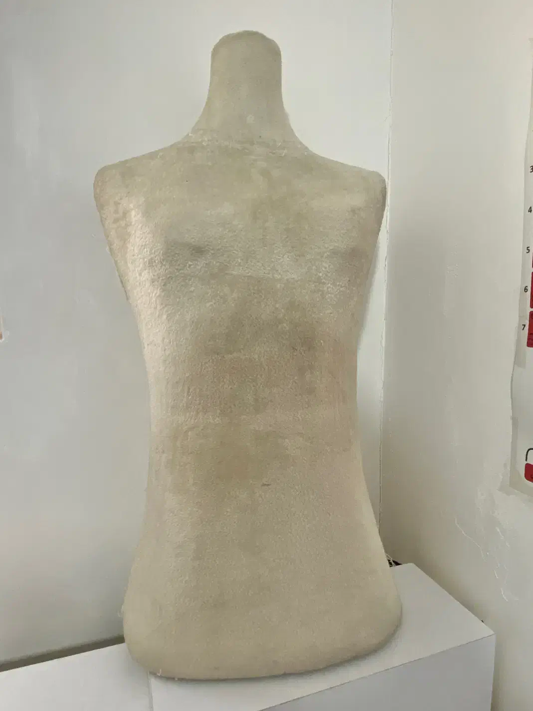 مانکن تمام سوزن خور|لوازم خیاطی و بافتنی|شیراز, میانرود|دیوار