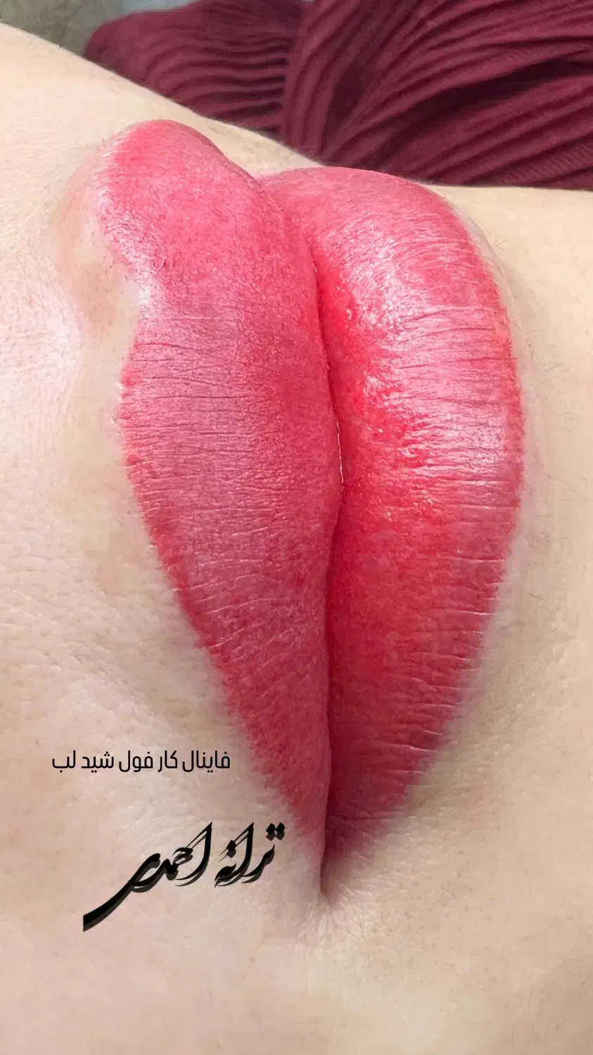 خدمات و آموزش میکروبلیدینگ و میکروپیگمنتیشن صورت|خدمات آرایشگری و زیبایی|اندیمشک, |دیوار