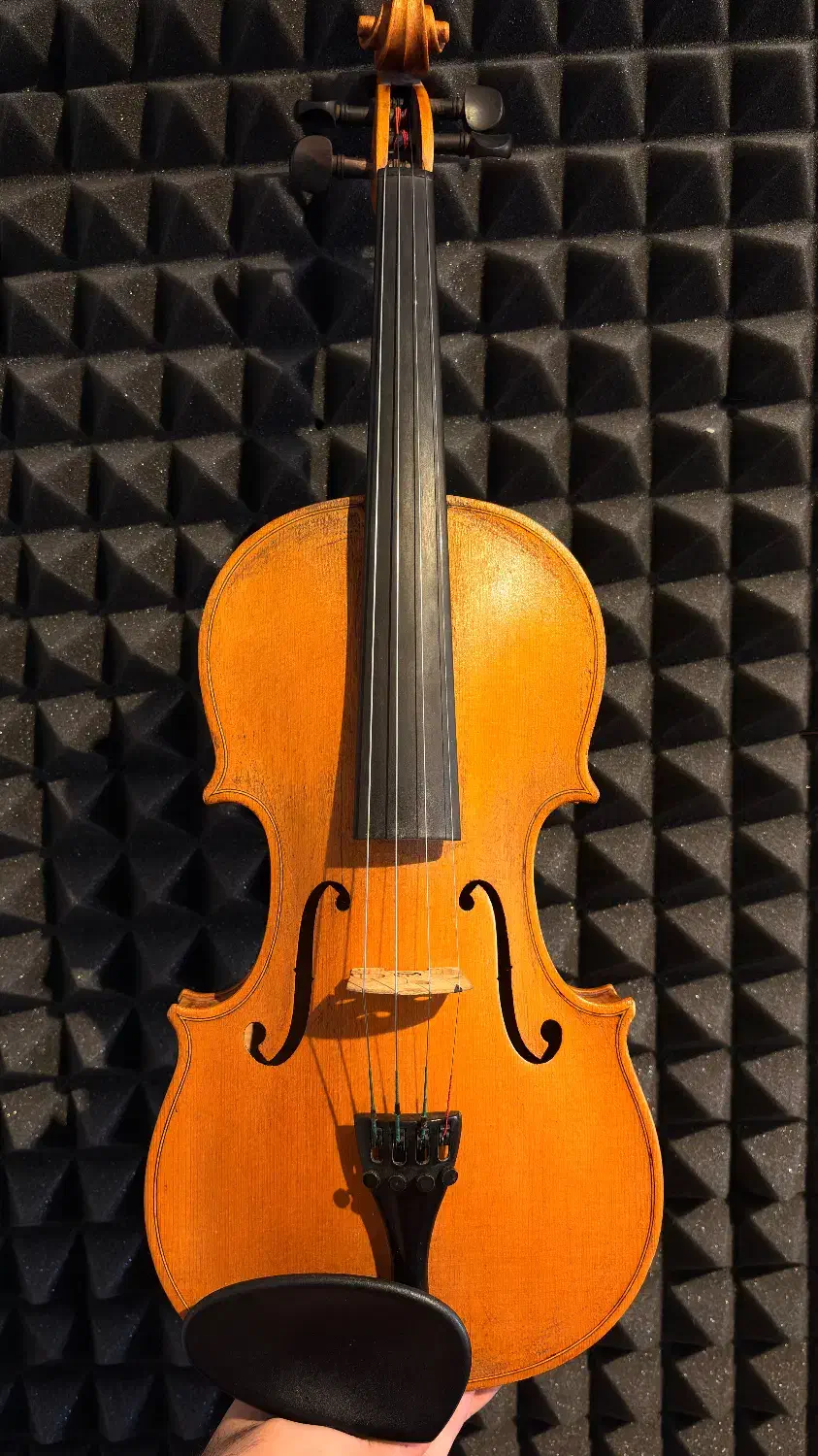 ویولن اروپایی دست ساز حرفه ای|ویولن|یزد, |دیوار
