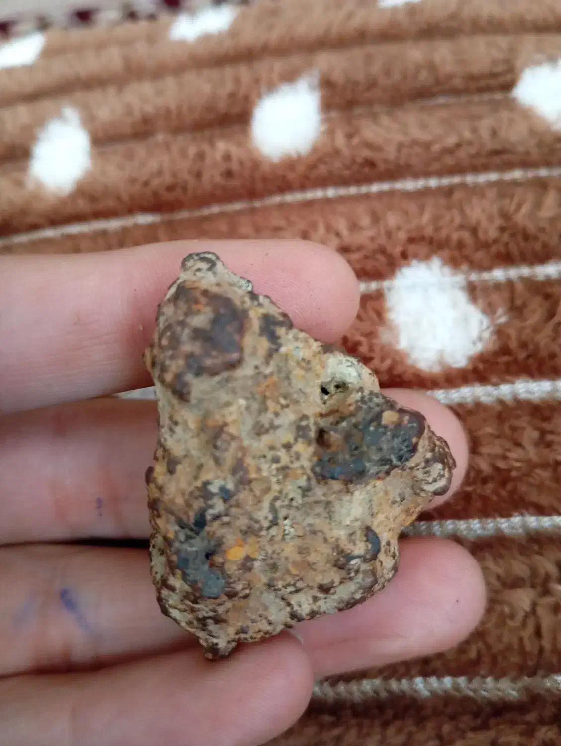 معاوضه با ماشین مشکوک|کلکسیون اشیاء عتیقه|هشترود, |دیوار