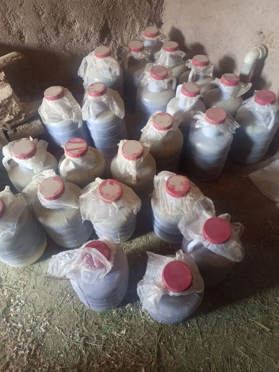 خیار شور|خوردنی و آشامیدنی|قیدار, |دیوار