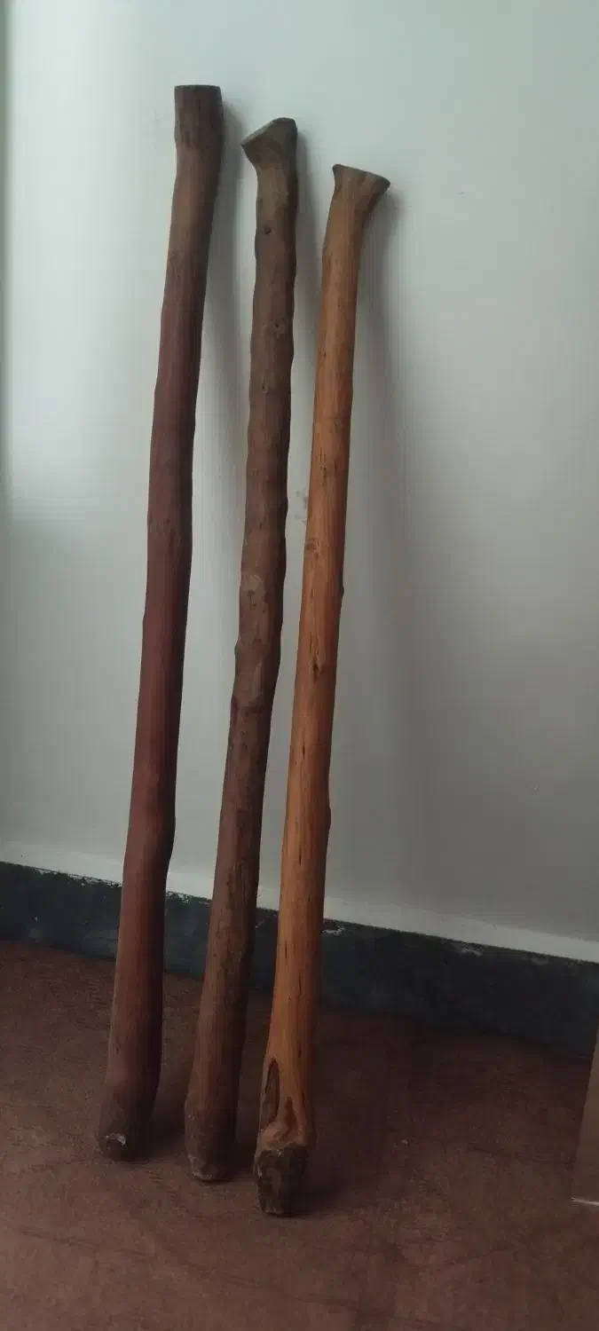 چوب|کوهنوردی و کمپینگ|دزفول, |دیوار