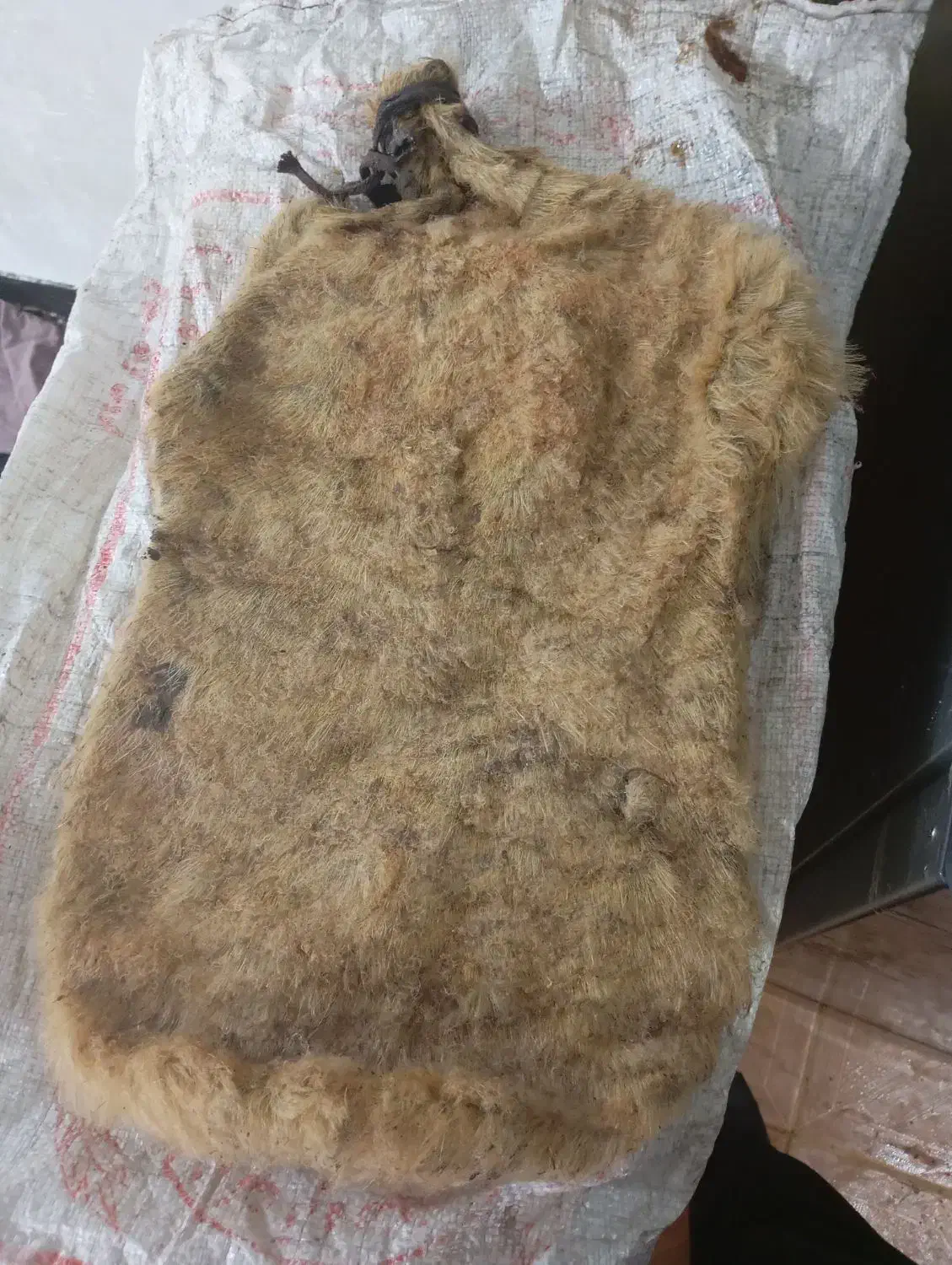 خیگ|صنایع دستی و سایر لوازم تزئینی|مسجد سلیمان, |دیوار