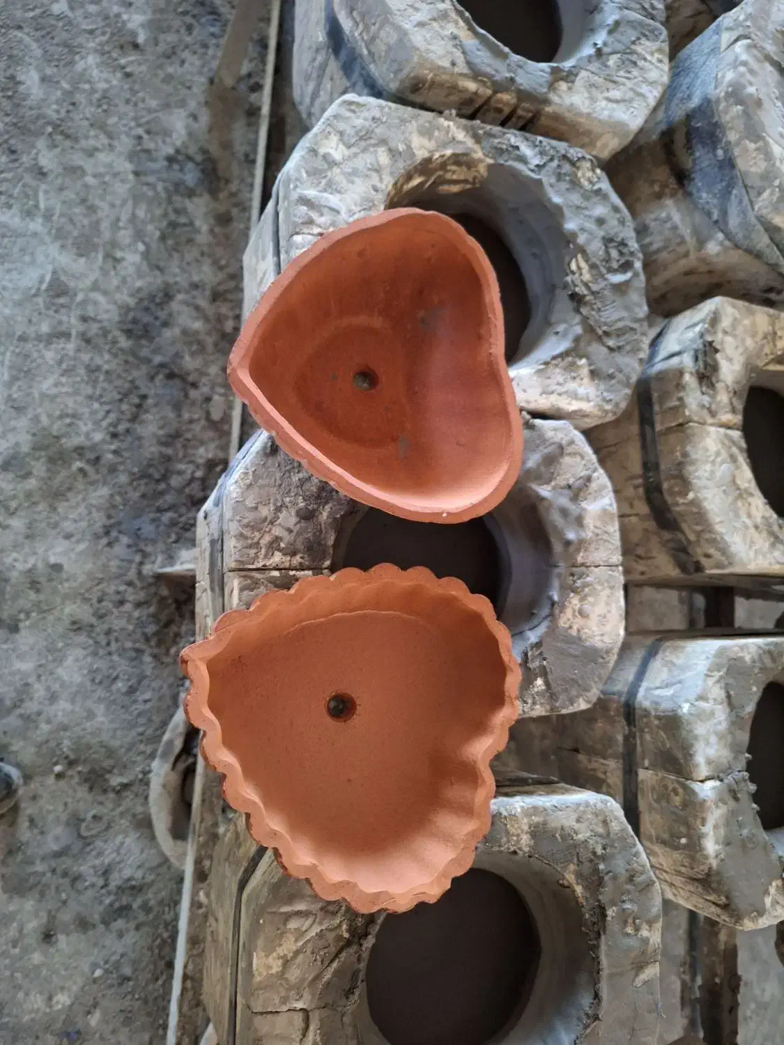 سبزه عید|گل و گیاه طبیعی|اسفرورین, |دیوار