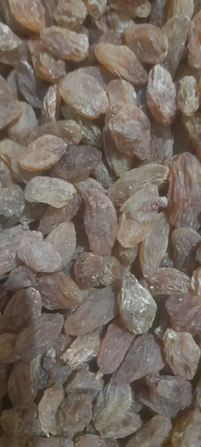 کشمش خوراکی قیمت مناسب افتابی وسبز|خوردنی و آشامیدنی|نیشابور, فضل|دیوار