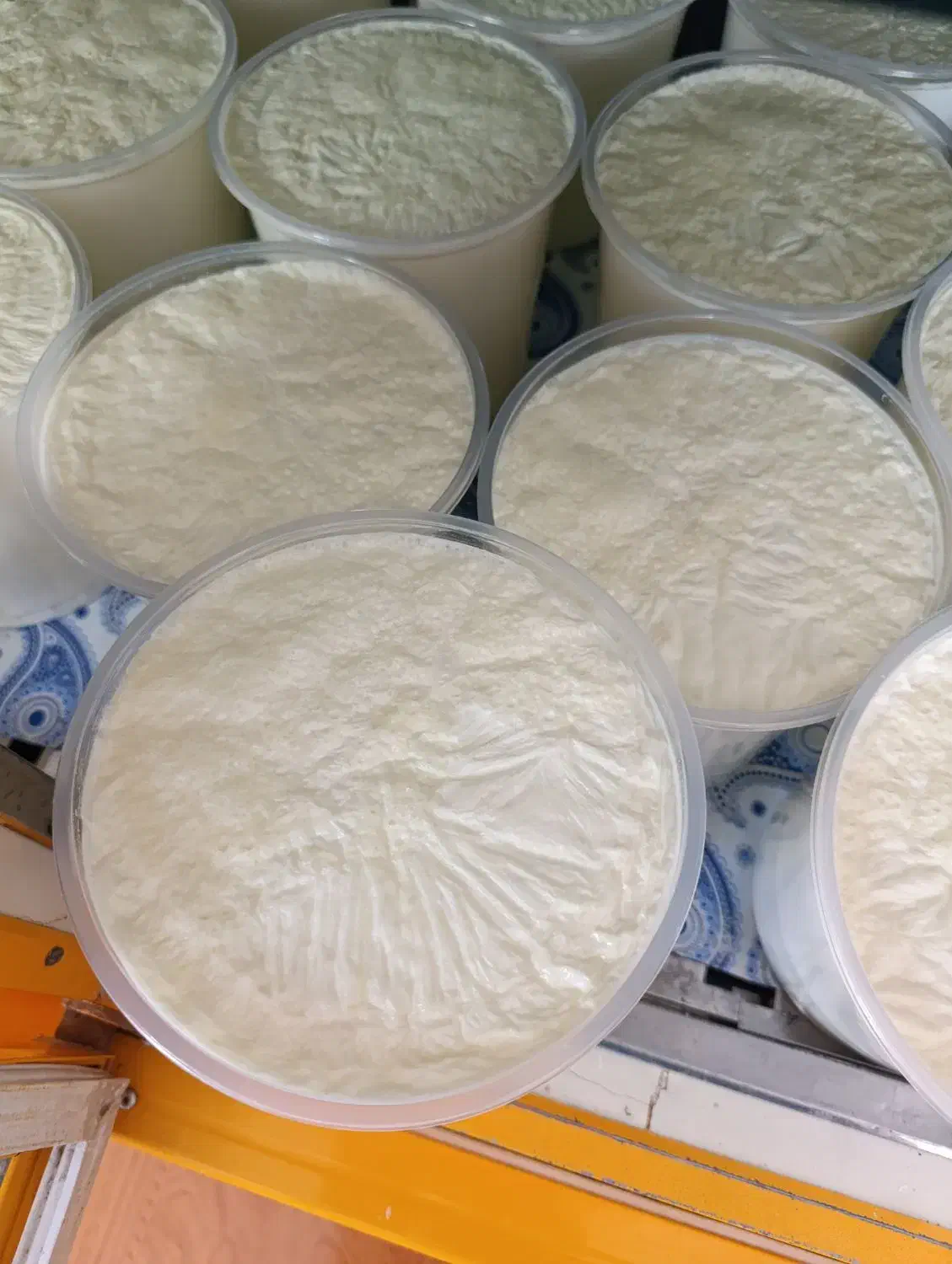 نیازمند همکار برای کار فروشندگی لبنیات سنتی|استخدام بازاریابی و فروش|یاسوج, |دیوار