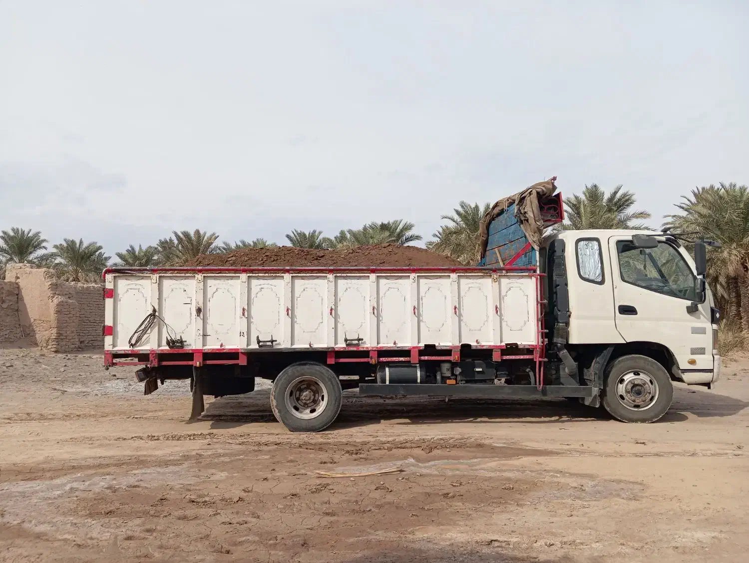 خاورنیسان کودگاو|خدمات باغبانی و درختکاری|بم, |دیوار