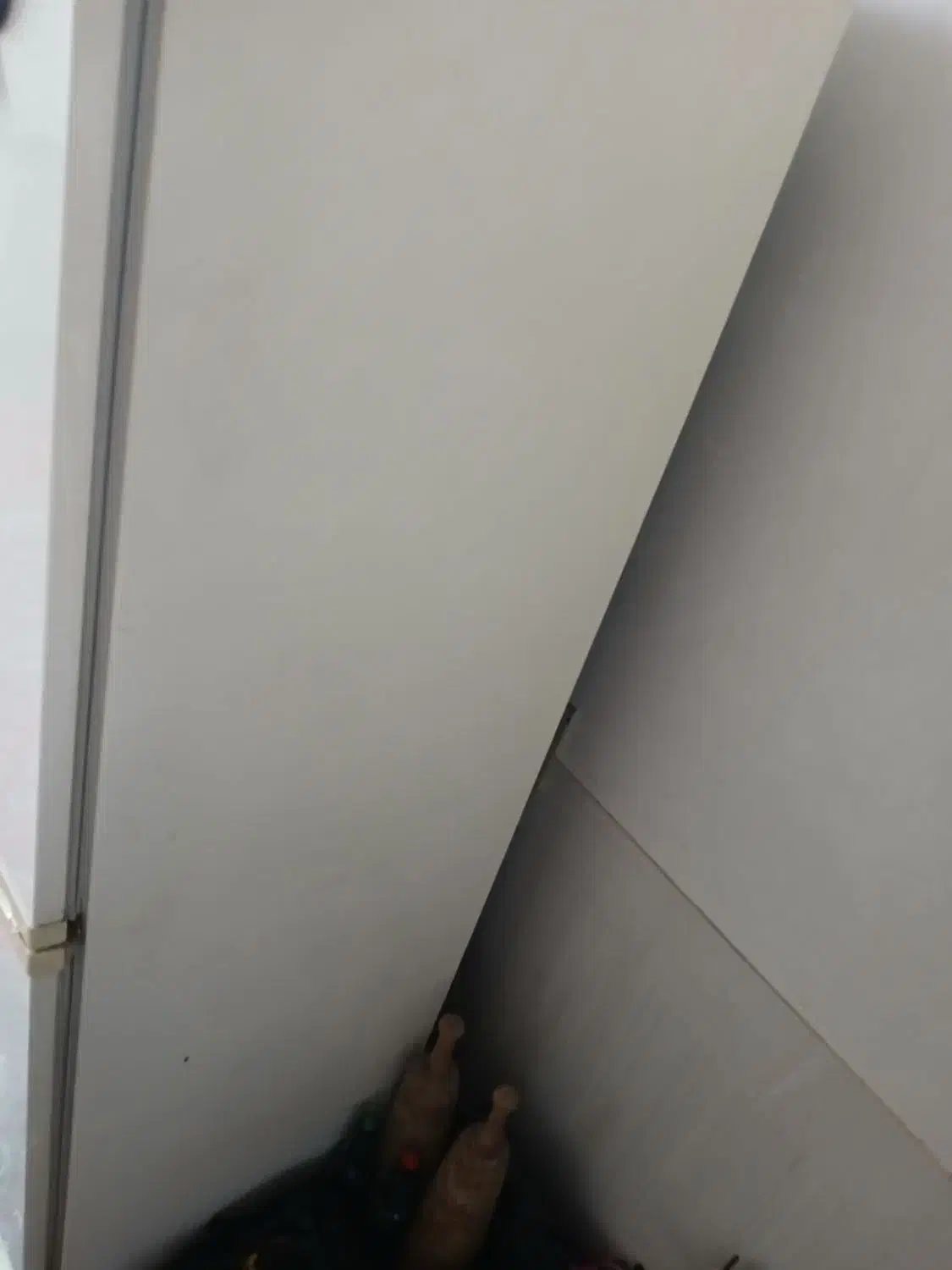 یخچال فریزر|یخچال و فریزر|ابریشم, |دیوار