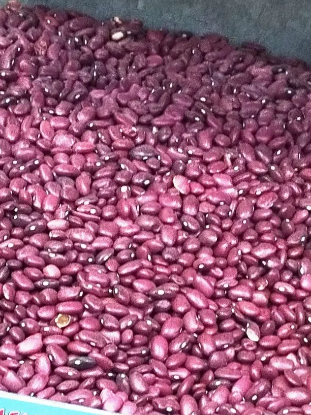 فروش حبوبات تازه|خوردنی و آشامیدنی|تهران, جیحون|دیوار