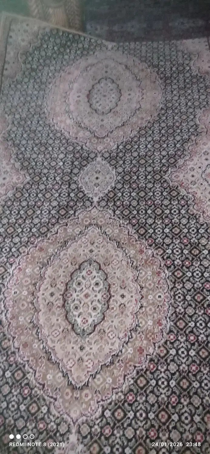 فرش ماشینی مرینوس|فرش|تبریز, |دیوار