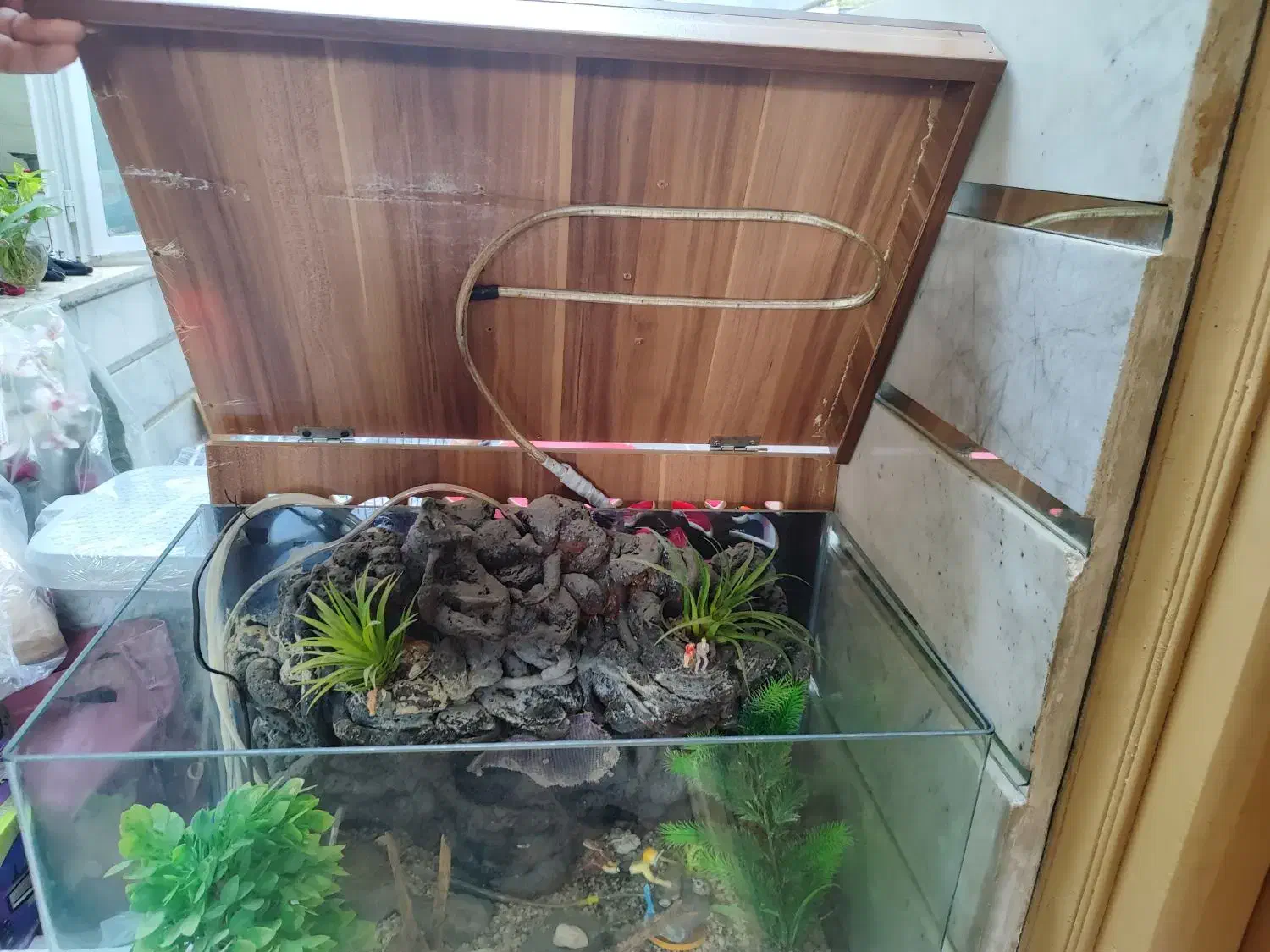 آکواریوم|ماهی|مبارکه, |دیوار