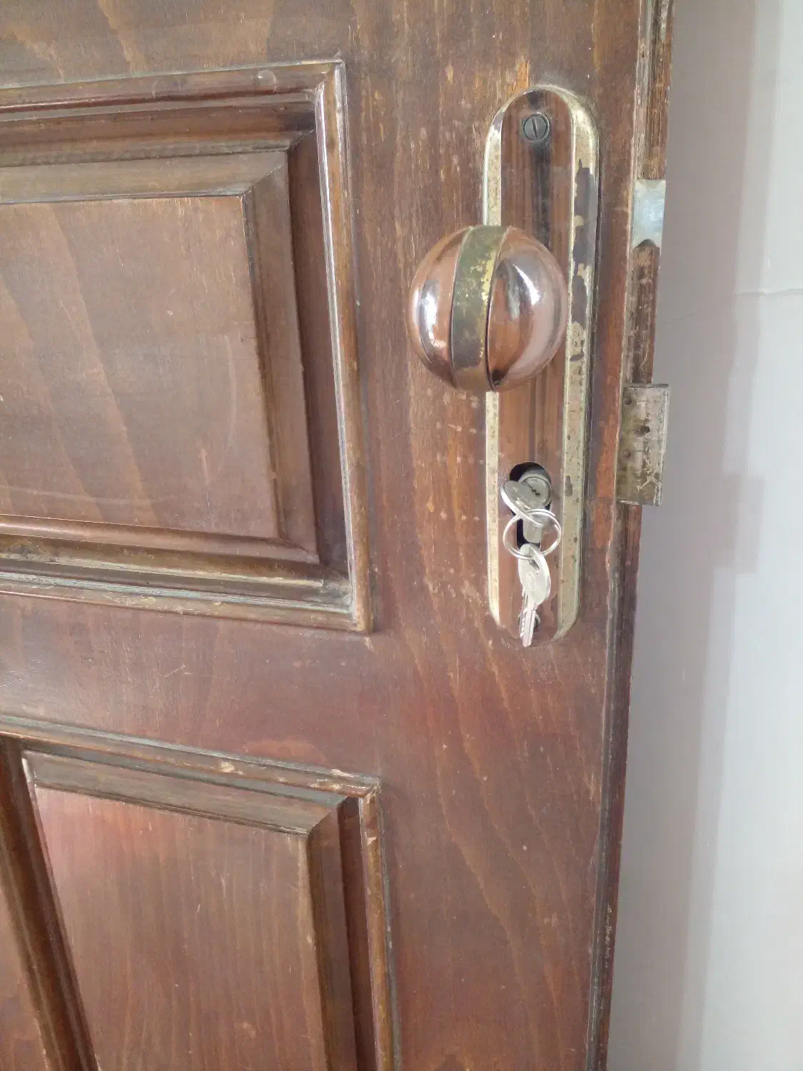 درب چوبی نراد|مصالح و تجهیزات ساختمان|لاهیجان, کوی زمانی|دیوار