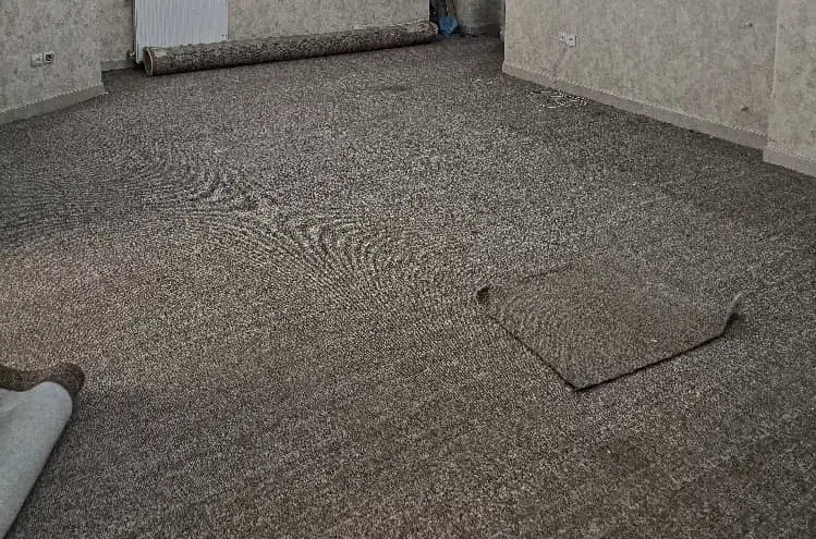 موکت پالاز پامچال 411 سی متر|موکت|پرند, فاز ۴|دیوار