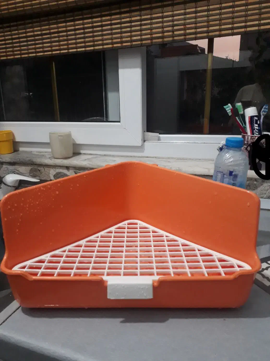 توالت/دستشویی/ظرف ادرار خرگوش|موش و خرگوش|فومن, |دیوار