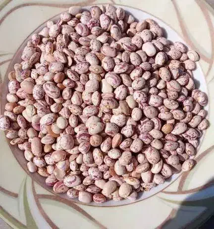 لوبیای چیتی|خوردنی و آشامیدنی|نکا, |دیوار