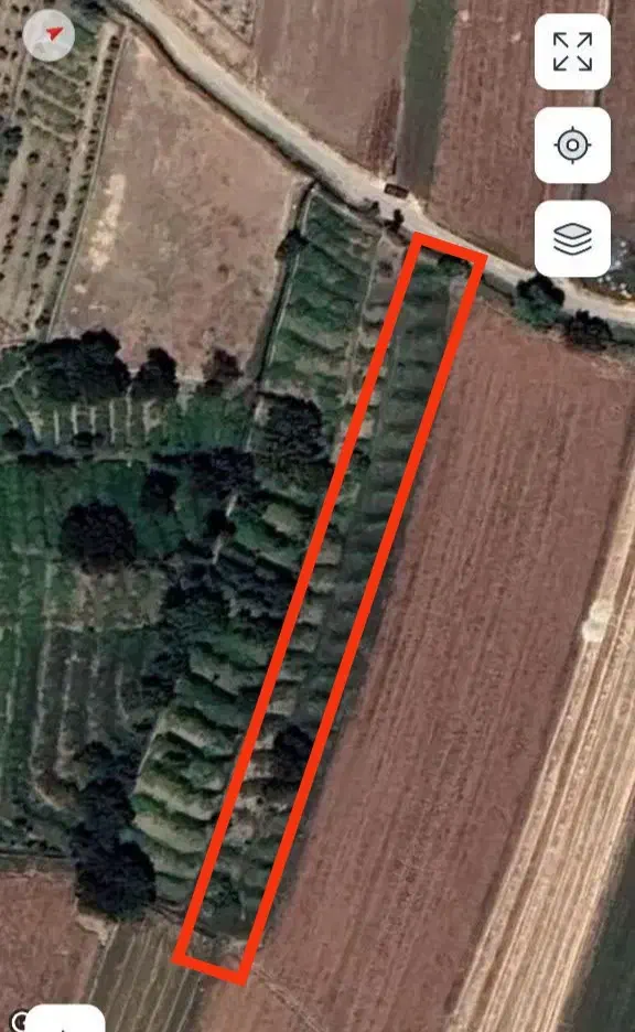 باغ انگور|فروش زمین و ملک کلنگی|شازند, |دیوار