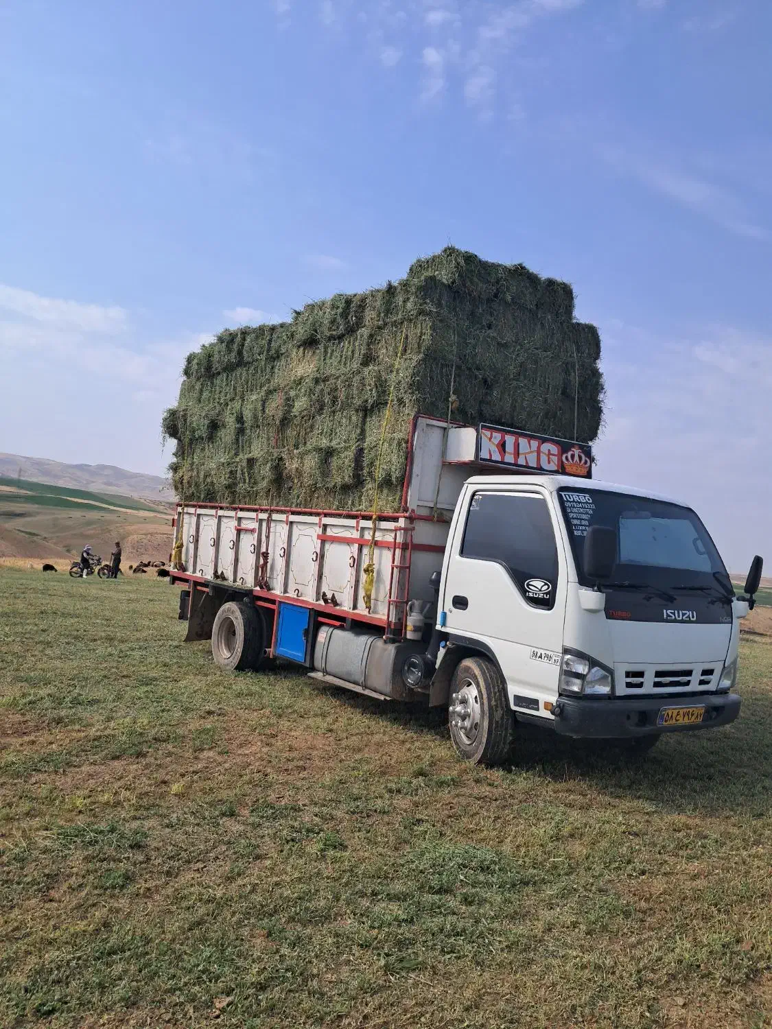 یونجه درجه یک|عمدهفروشی|زنجان, |دیوار