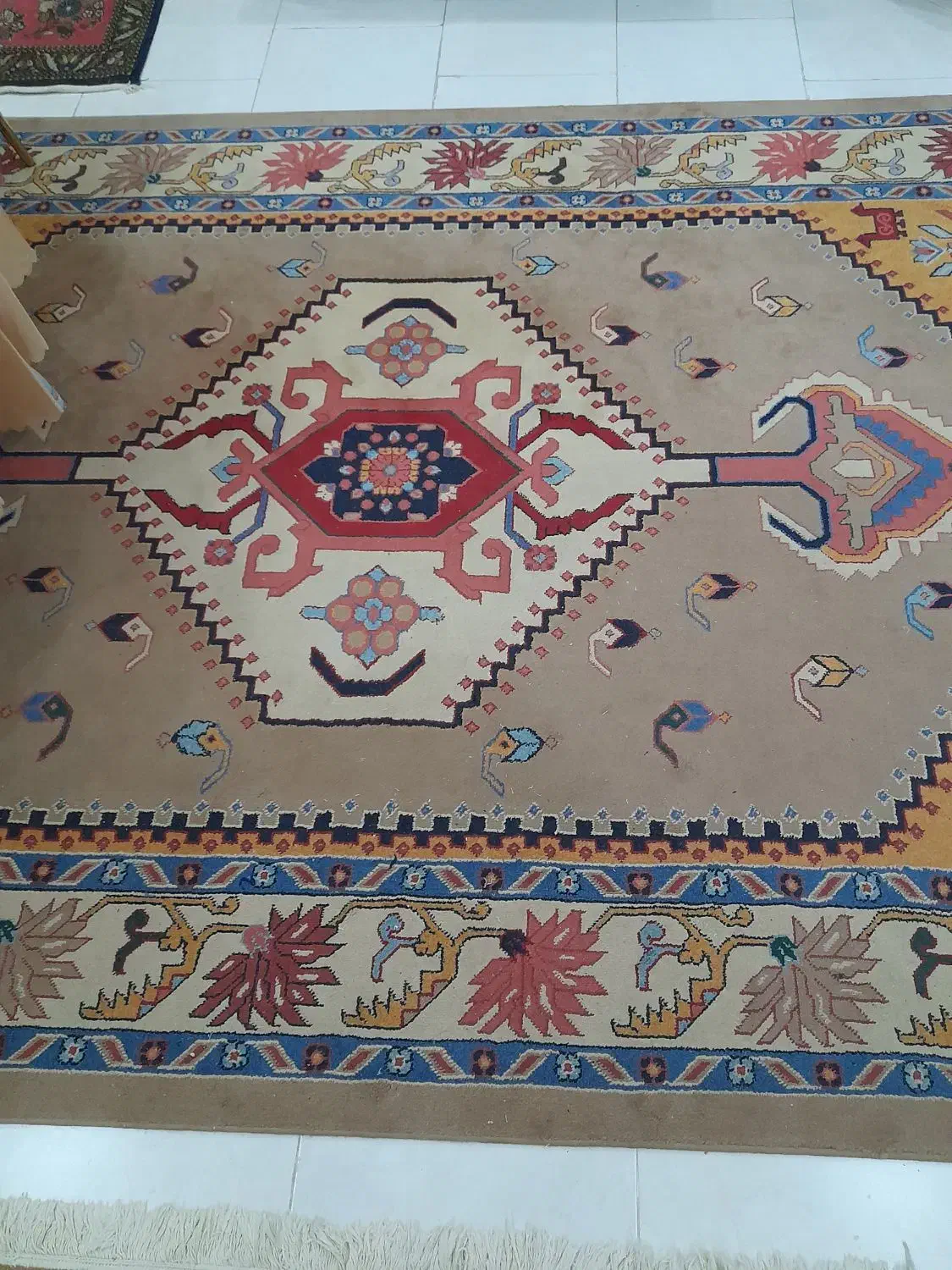 فرش کویر یزد ۶ متری جفت|فرش|پردیس, فاز ۱۱|دیوار